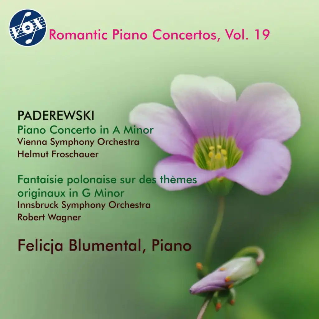 Romantic Piano Concertos, Vol. 19
