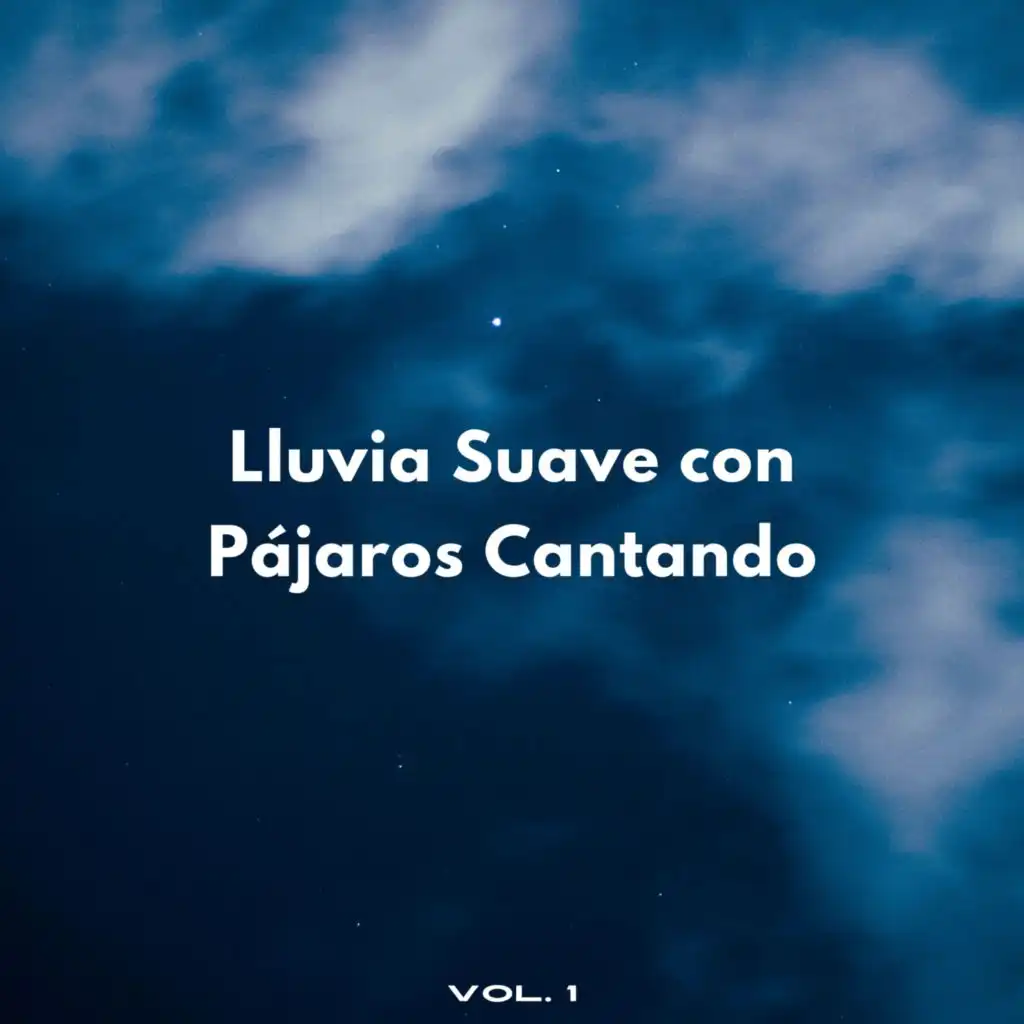 Lluvia Suave Con Pájaros Cantando Vol. 1