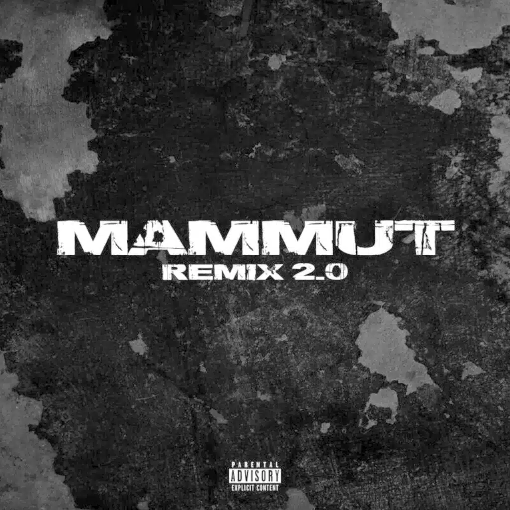 Mammut RMX 2.0