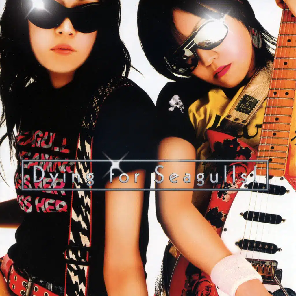 Seagull Screaming Kiss Her Kiss Her