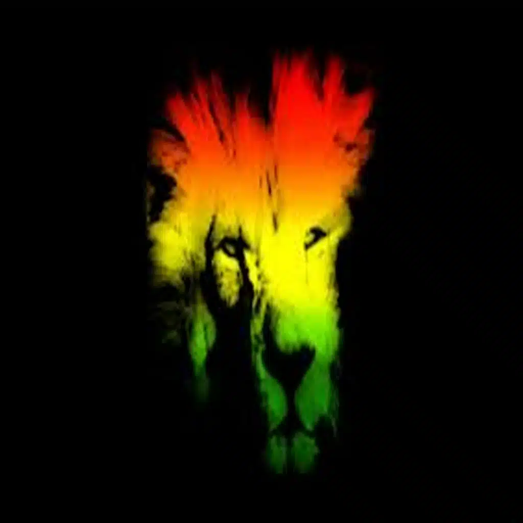 Looking My Love (Dub)
