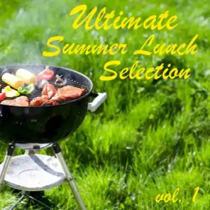 Ultimate Summer Lunch Selection, vol. 1