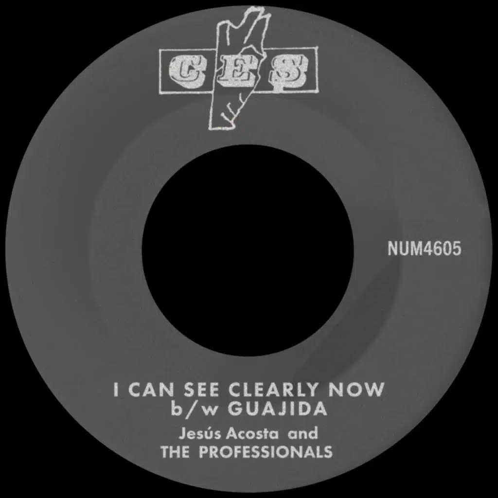 Jesus Acosta & Professionals