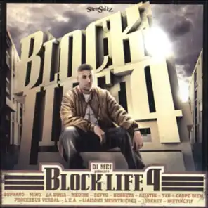 Block Life 4