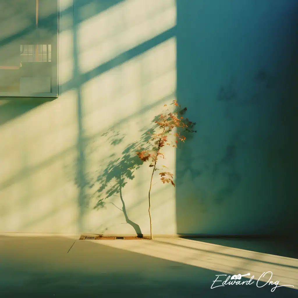 what i was made for? (acoustic instrumental solo)