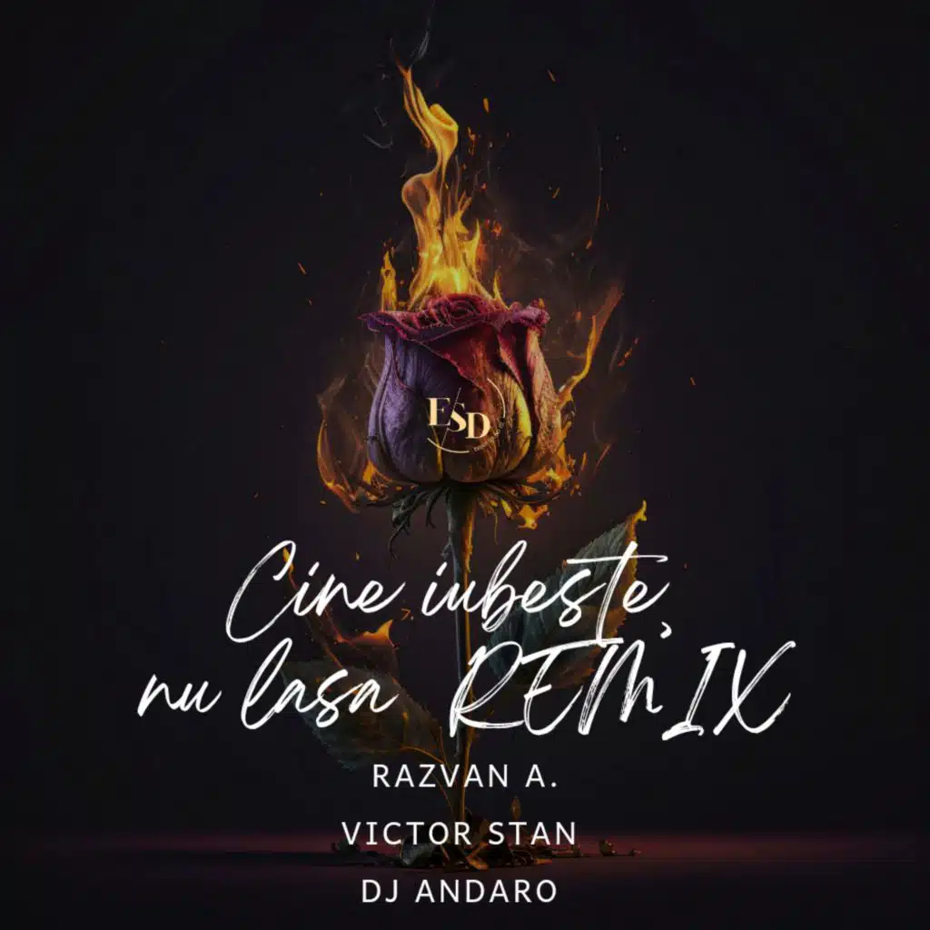 Victor Stan