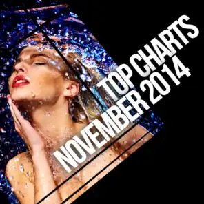 Top Charts November 2014