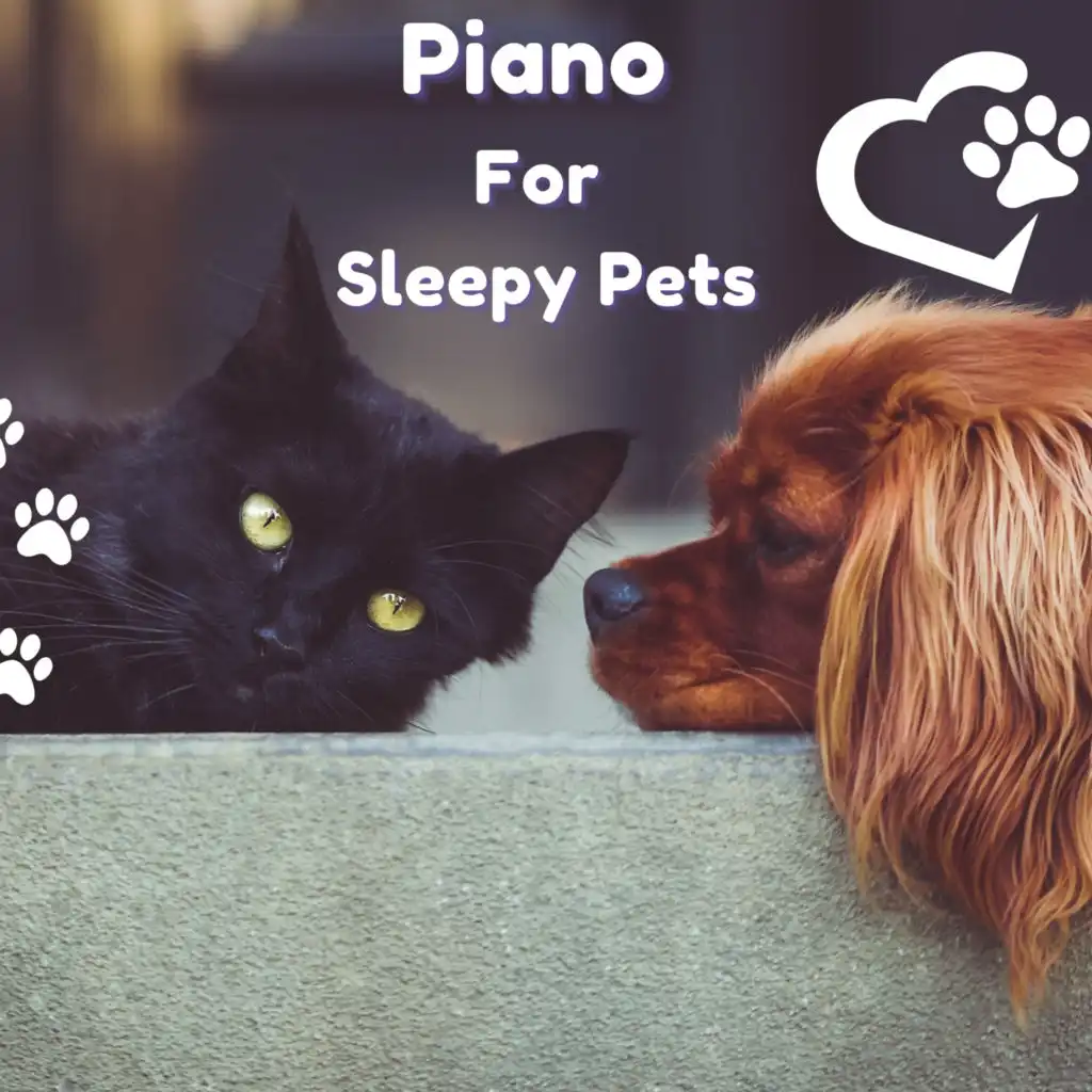 Piano Peace, Pet Music Therapy & PETS LOVE MUSIC