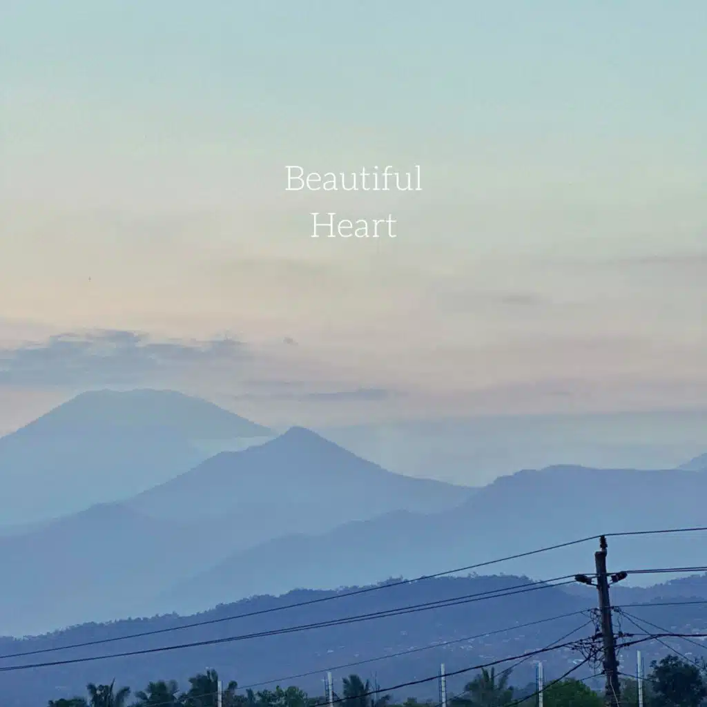 Beautiful Heart