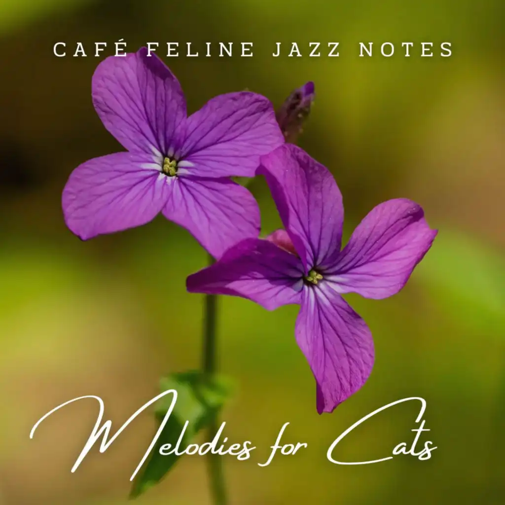 Café Feline Jazz Notes