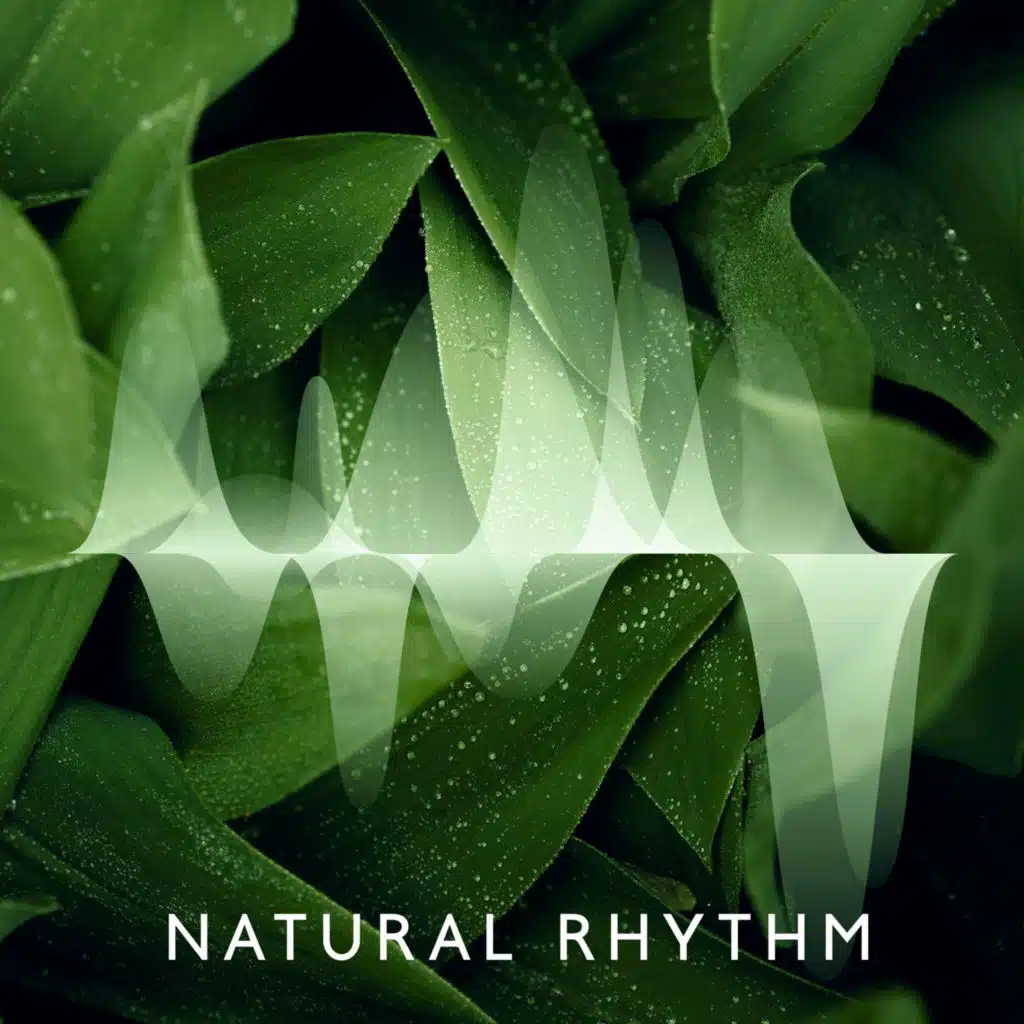 Natural Rythmn: The Rhythms of Nature: Meditative Music with Nature Sounds to Relax and Focus Your Mind & Sleep, Spa, Yoga