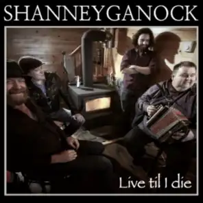Shanneyganock