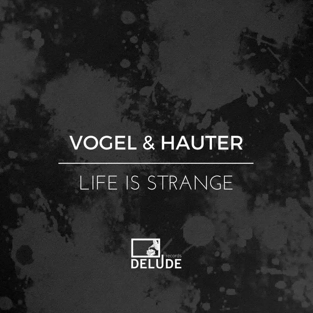 Vogel & Hauter