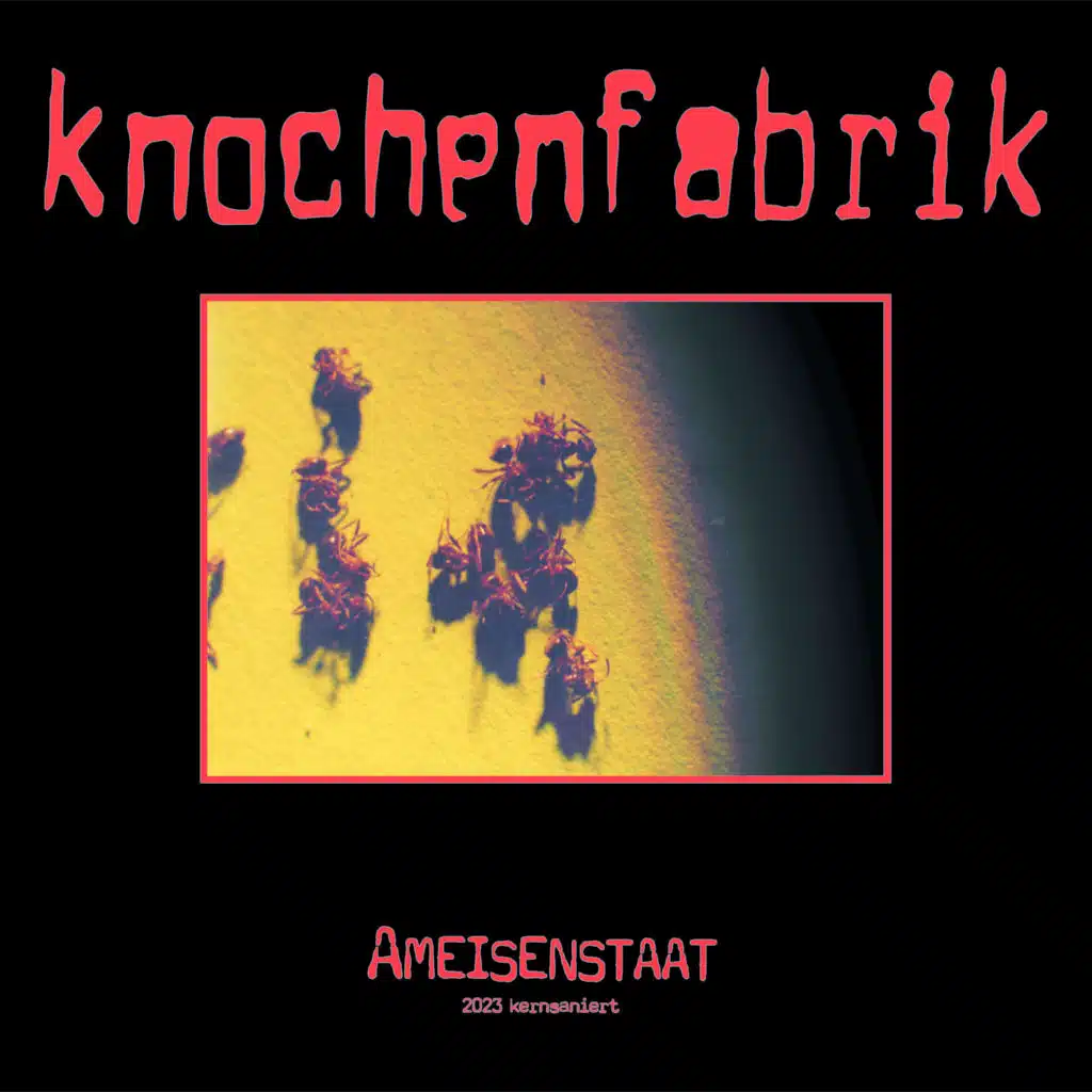 KNOCHENFABRIK