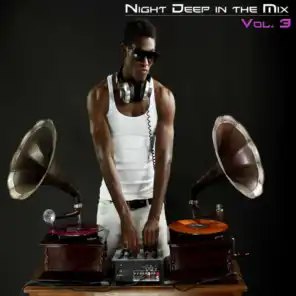 Night Deep in the Mix, Vol. 3