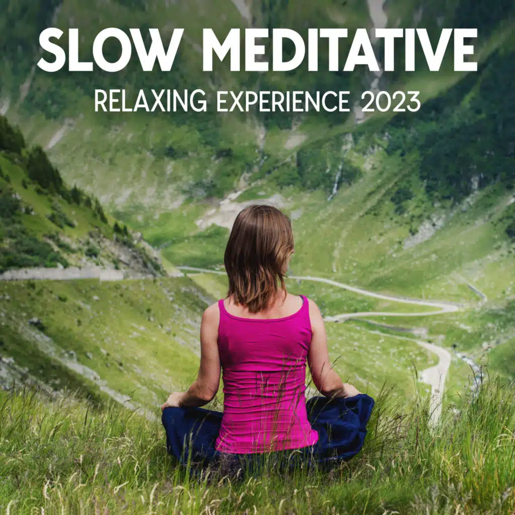 Slow Meditative Relaxing Experience 2023
