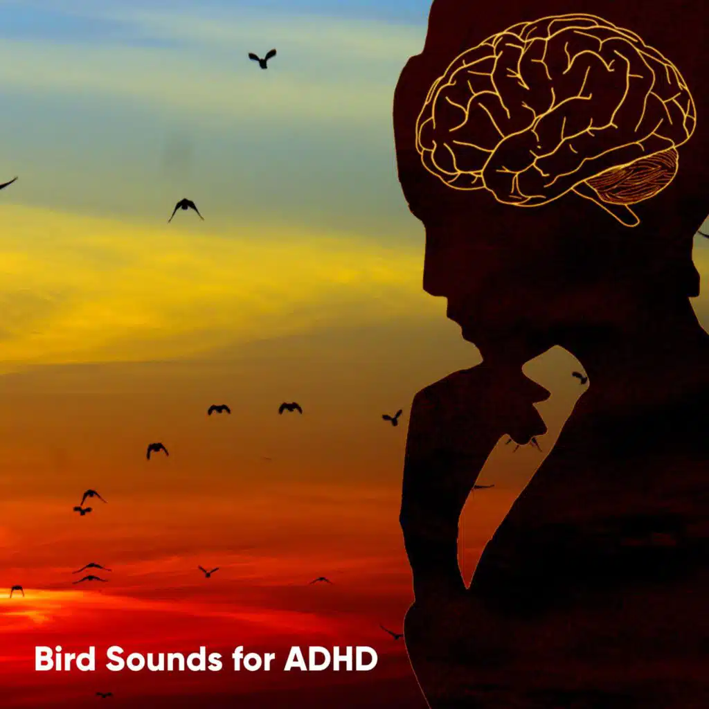 Bird Sound Collectors