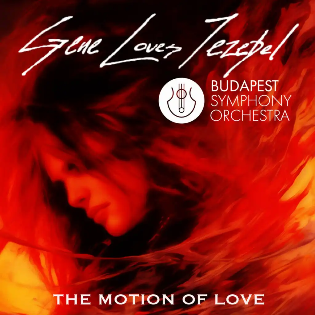 The Motion Of Love (Re-Recorded) (Orchestral Version)