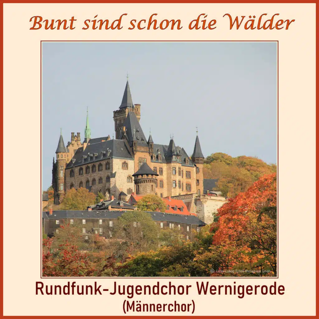 Rundfunk-Jugendchor Wernigerode (Männerchor)