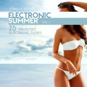 Electronic Summer (25 Selected Electronic Tunes), Vol. 1