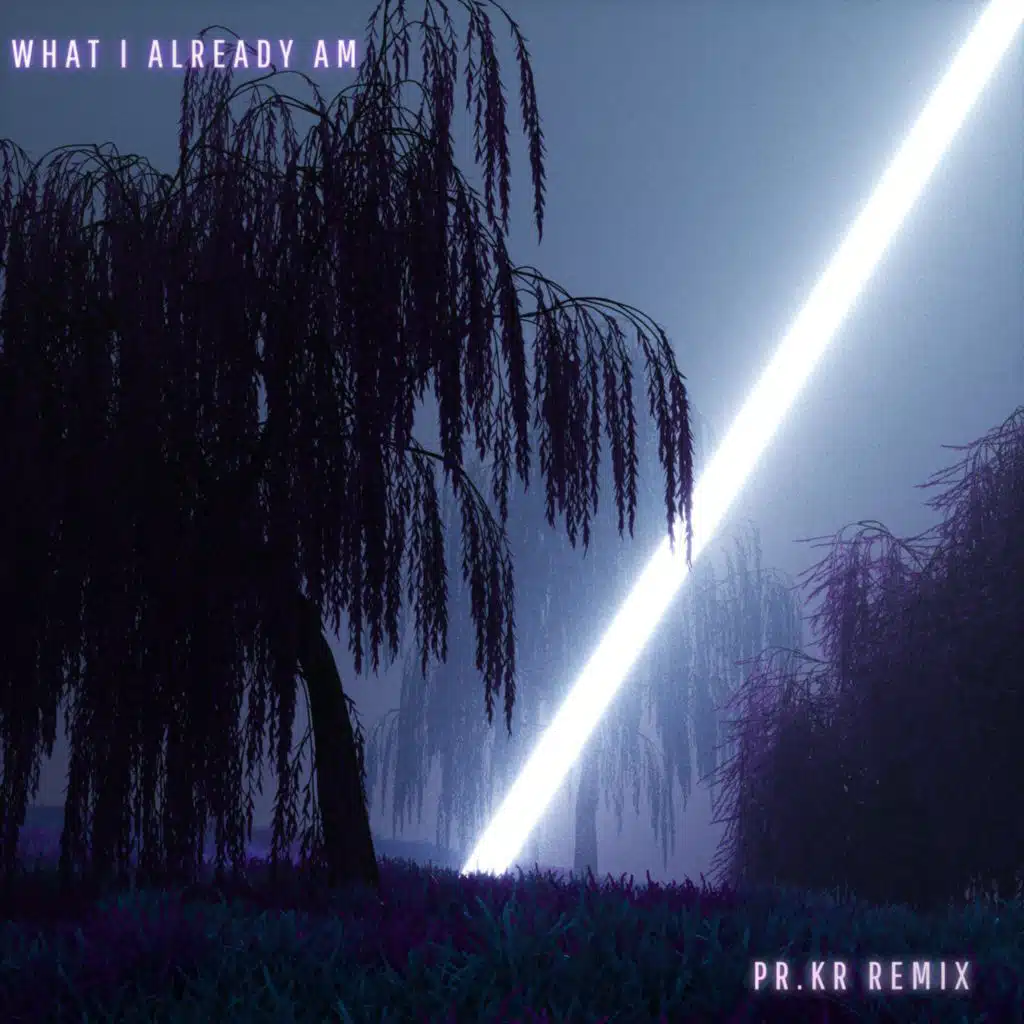 What I Already Am (PR.KR Remix)
