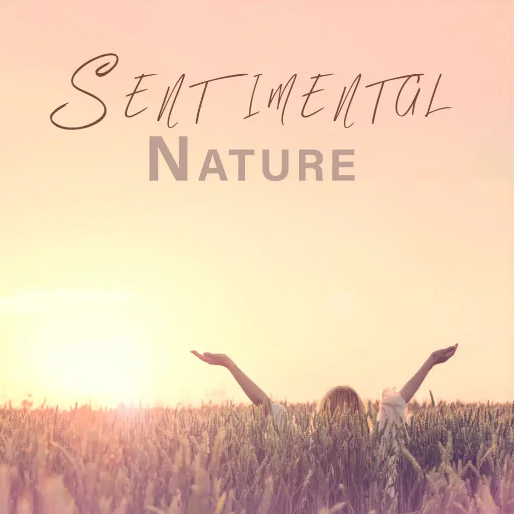 Sentimental Nature: Great Depth of Feeling with a Beautiful Atmosphere of Nature