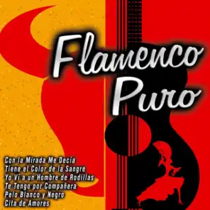 Flamenco Puro