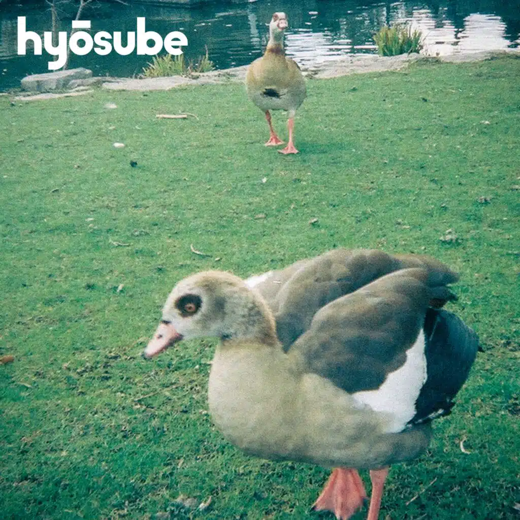 hyosube