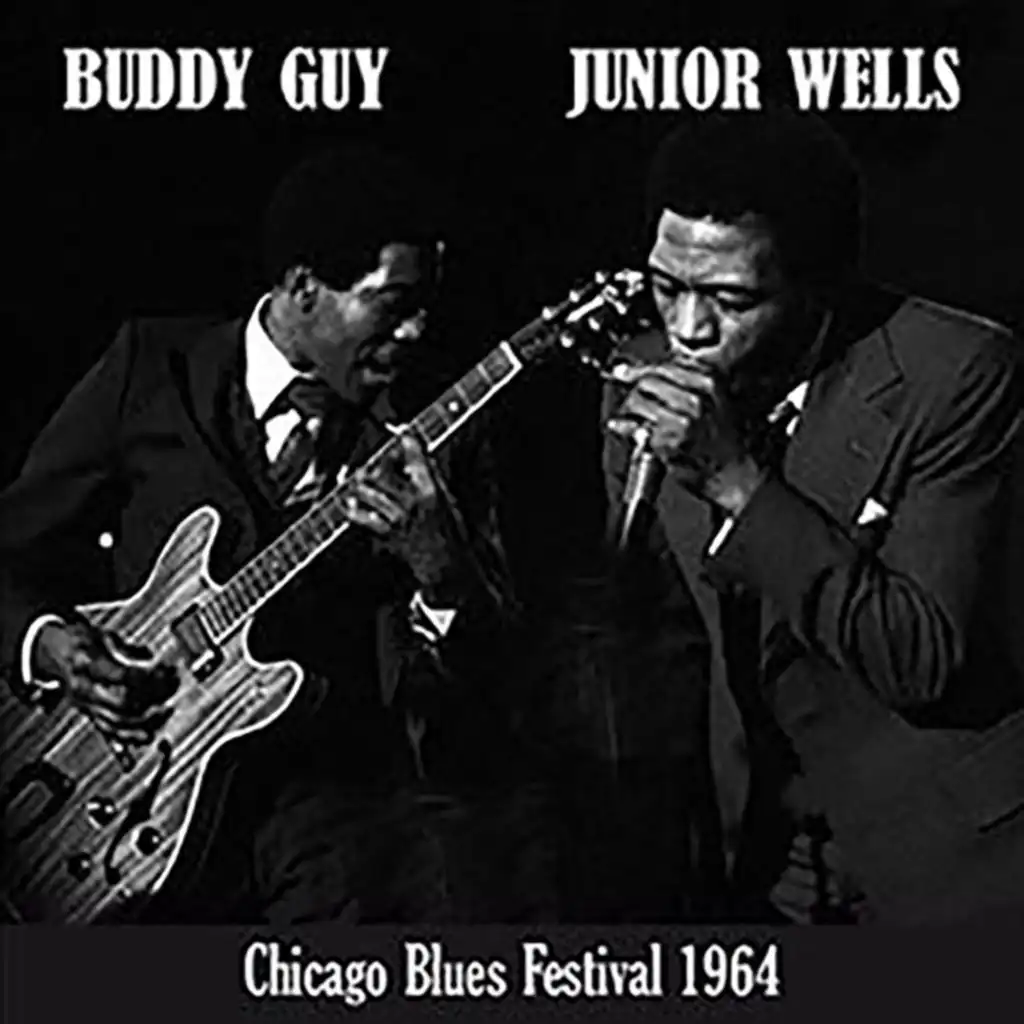 Chicago Blues Festival 1964