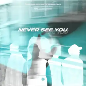Never See You (feat. Liam Sturgess)