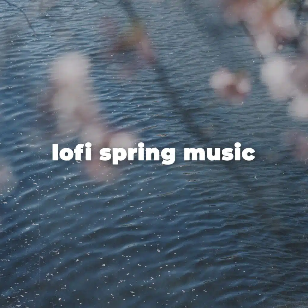 Mount Eminest, MOYN & lofi.dealer