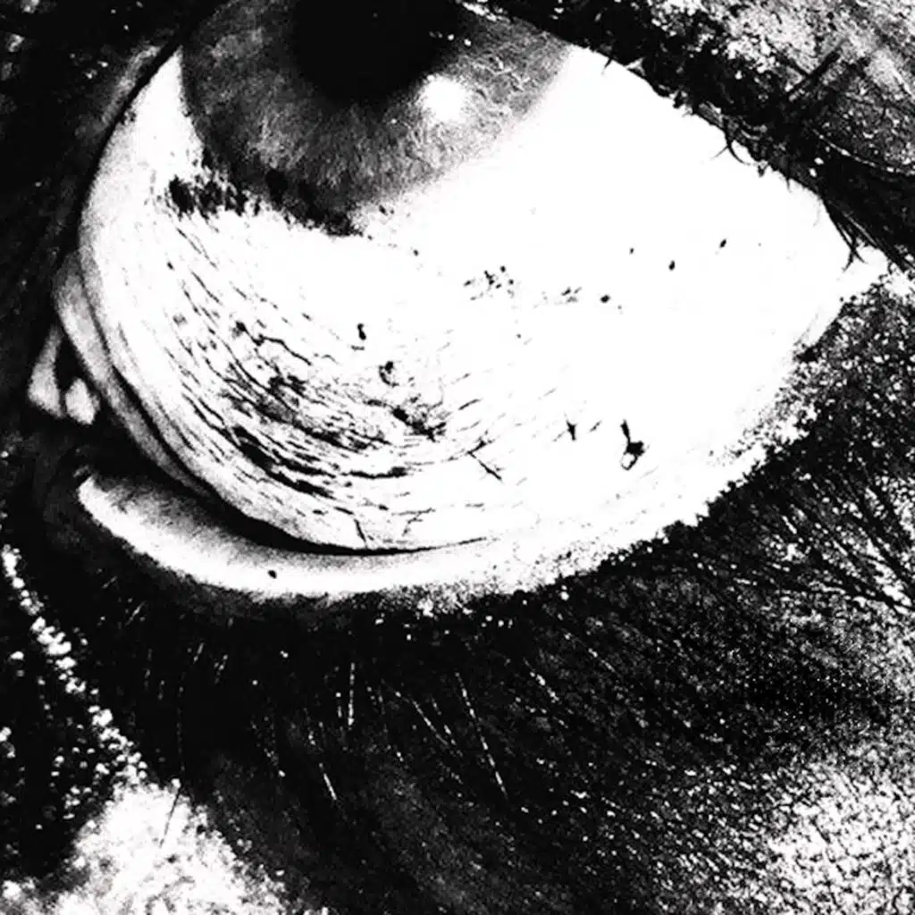 Bound To Misery (feat. AVOID)