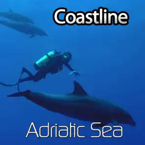 Adriatic Sea (DJ Lounge Del Mar vs. Milews Asian Ambience Mix)