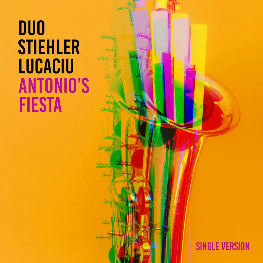 Duo Stiehler/Lucaciu