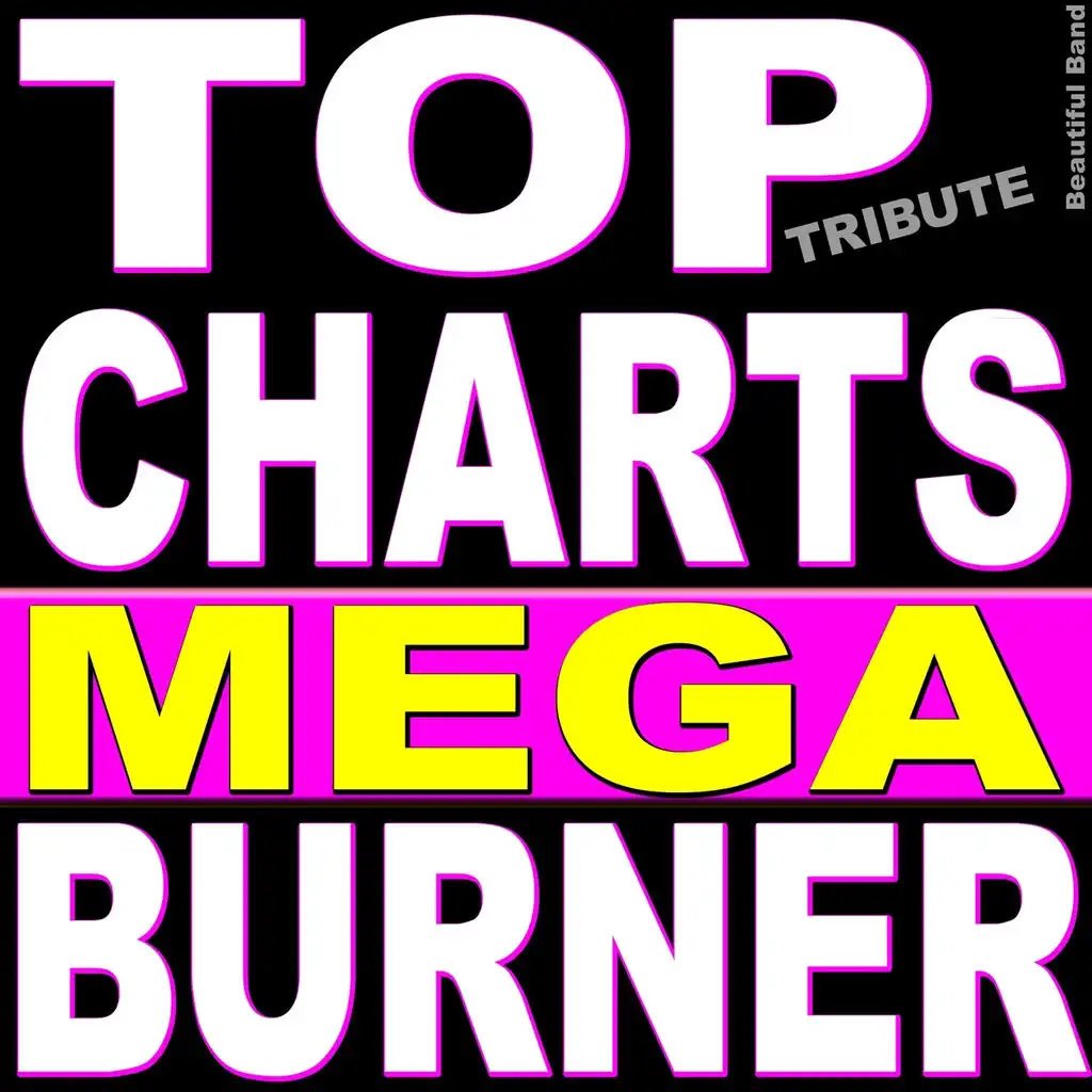 Top 40 Charts Mega Burner