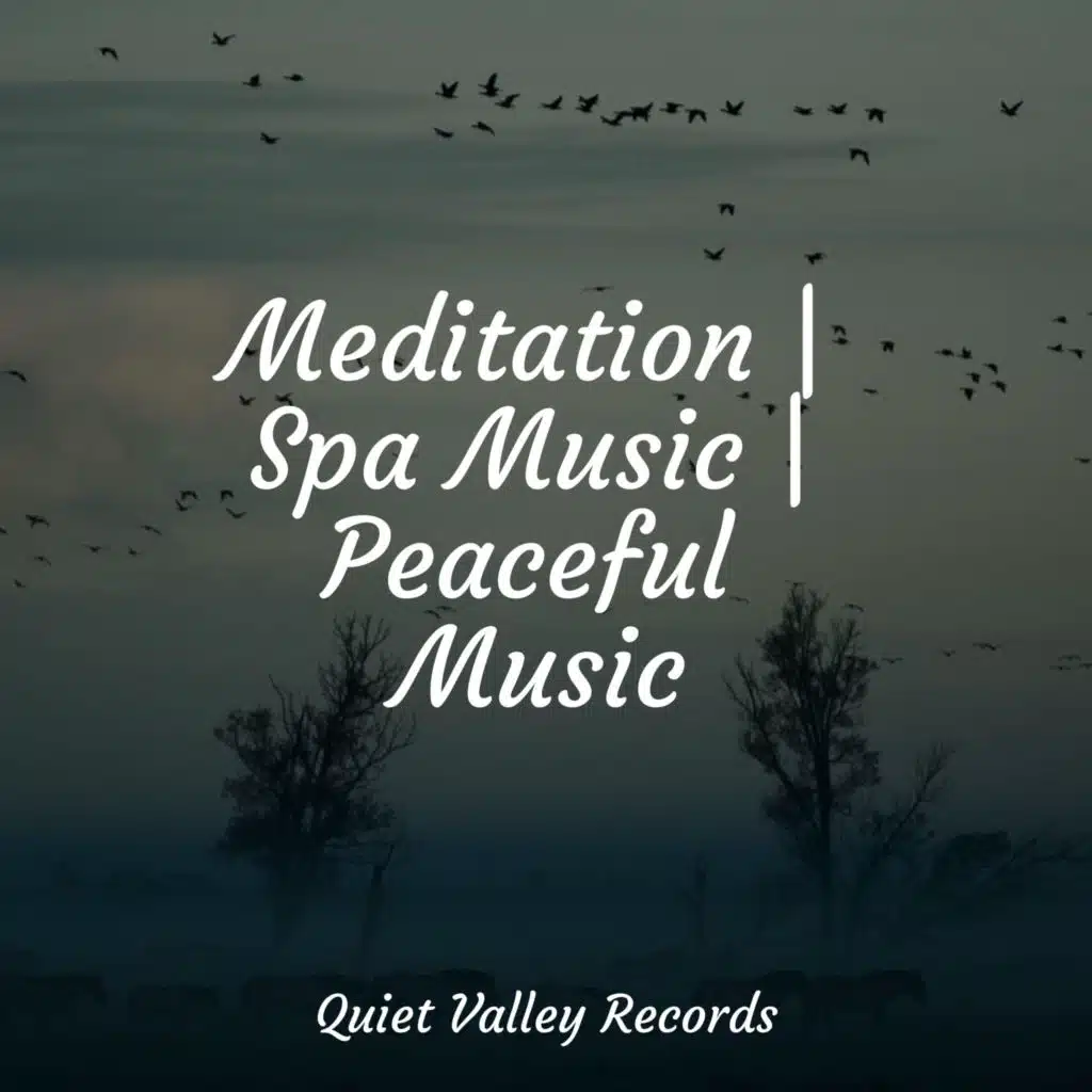 Meditation | Spa Music | Peaceful Music