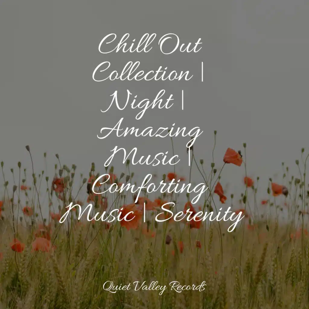 Chill Out Collection | Night | Amazing Music | Comforting Music | Serenity