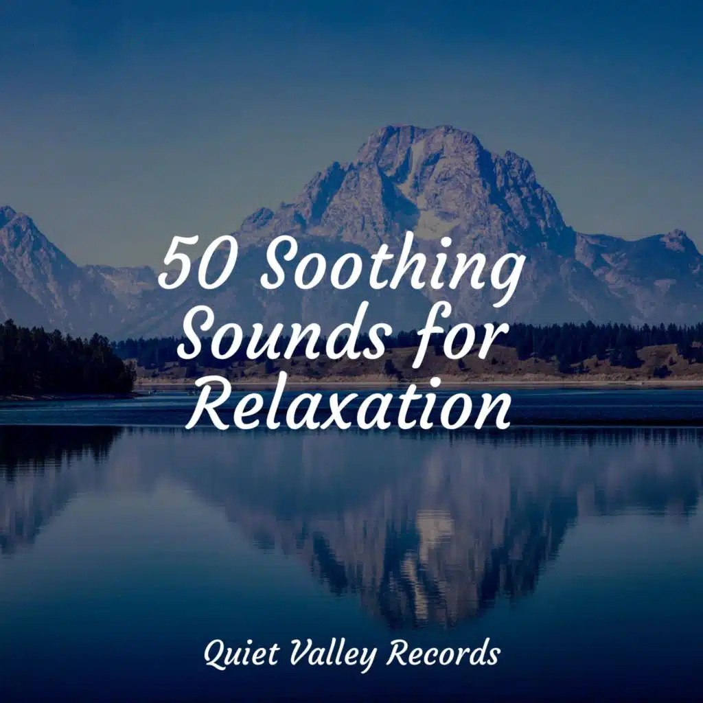 50 Soothing Sounds for Relaxation