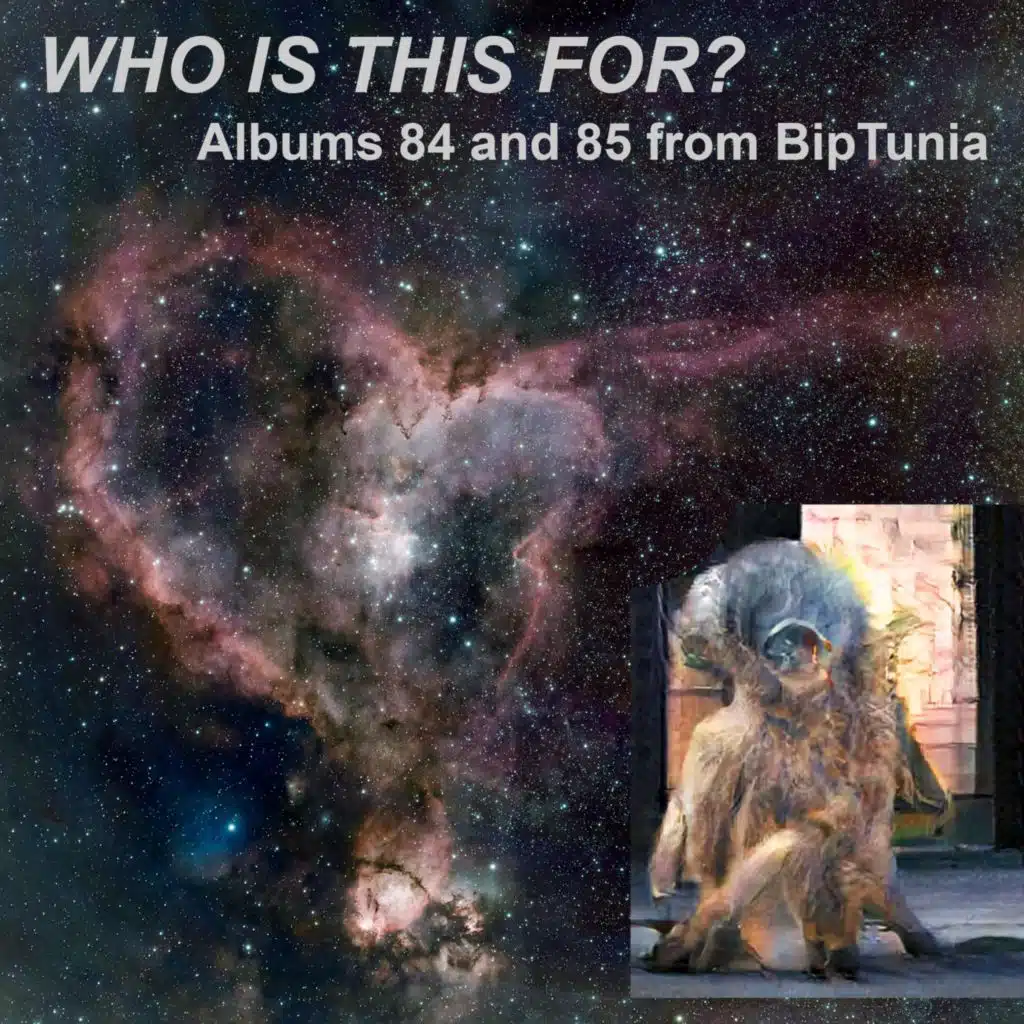 WHO IS THIS FOR?