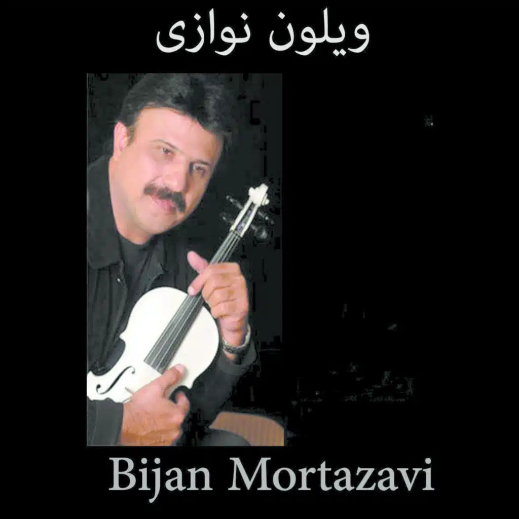 ویلون نوازی