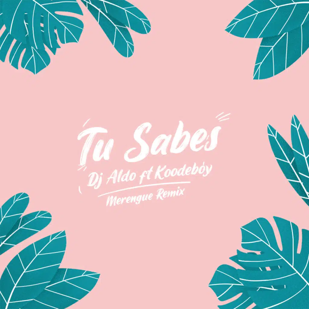 Tu Sabes (Merengue Remix) [feat. Koodeboy]