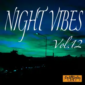 Night Vibes, Vol. 12