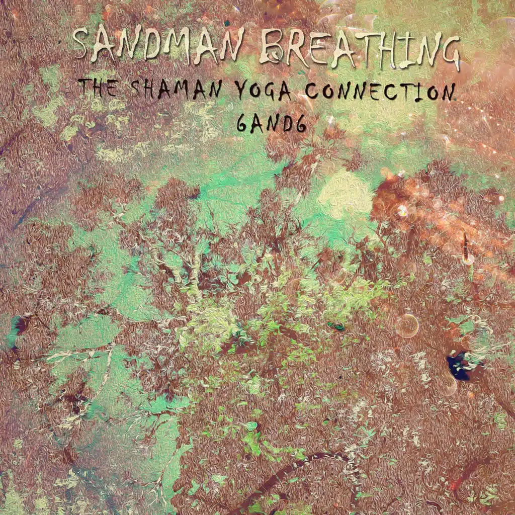 Shaman Yoga Meditation Cycle B10