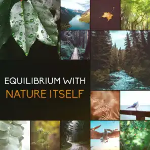 Equilibrium With Nature Itself