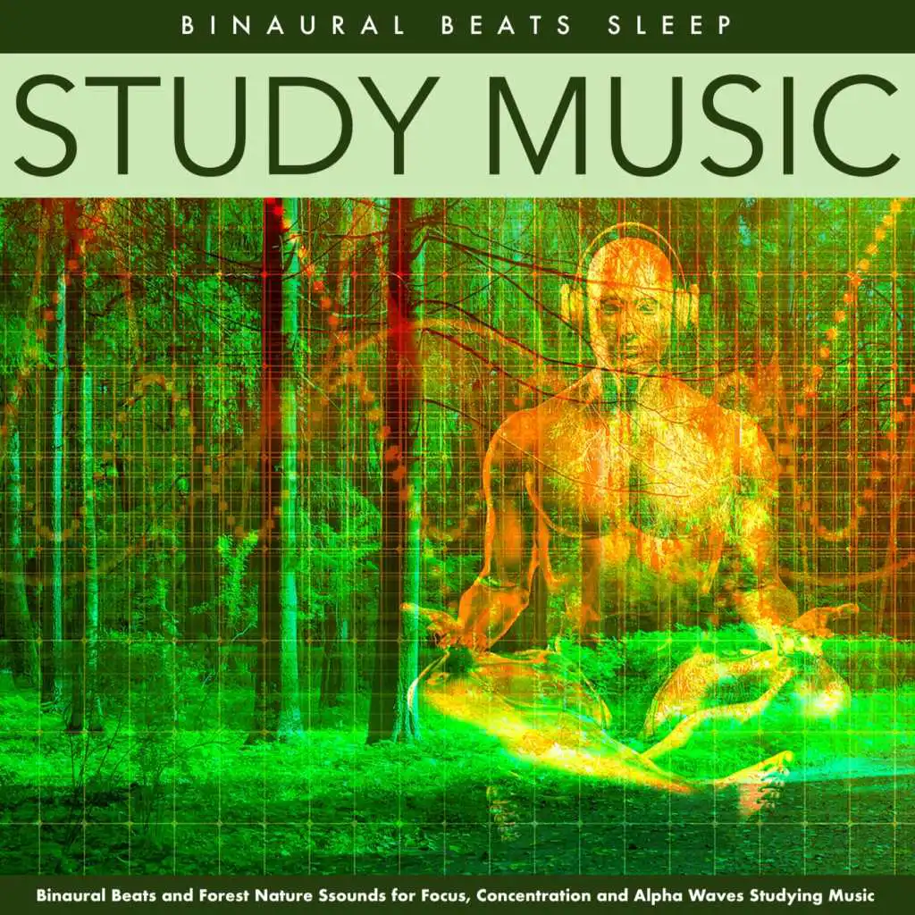 Study Music (Asmr Birds)