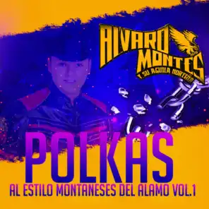 Polkas Al Estilo Montañeses Del Alamo Vol. 1