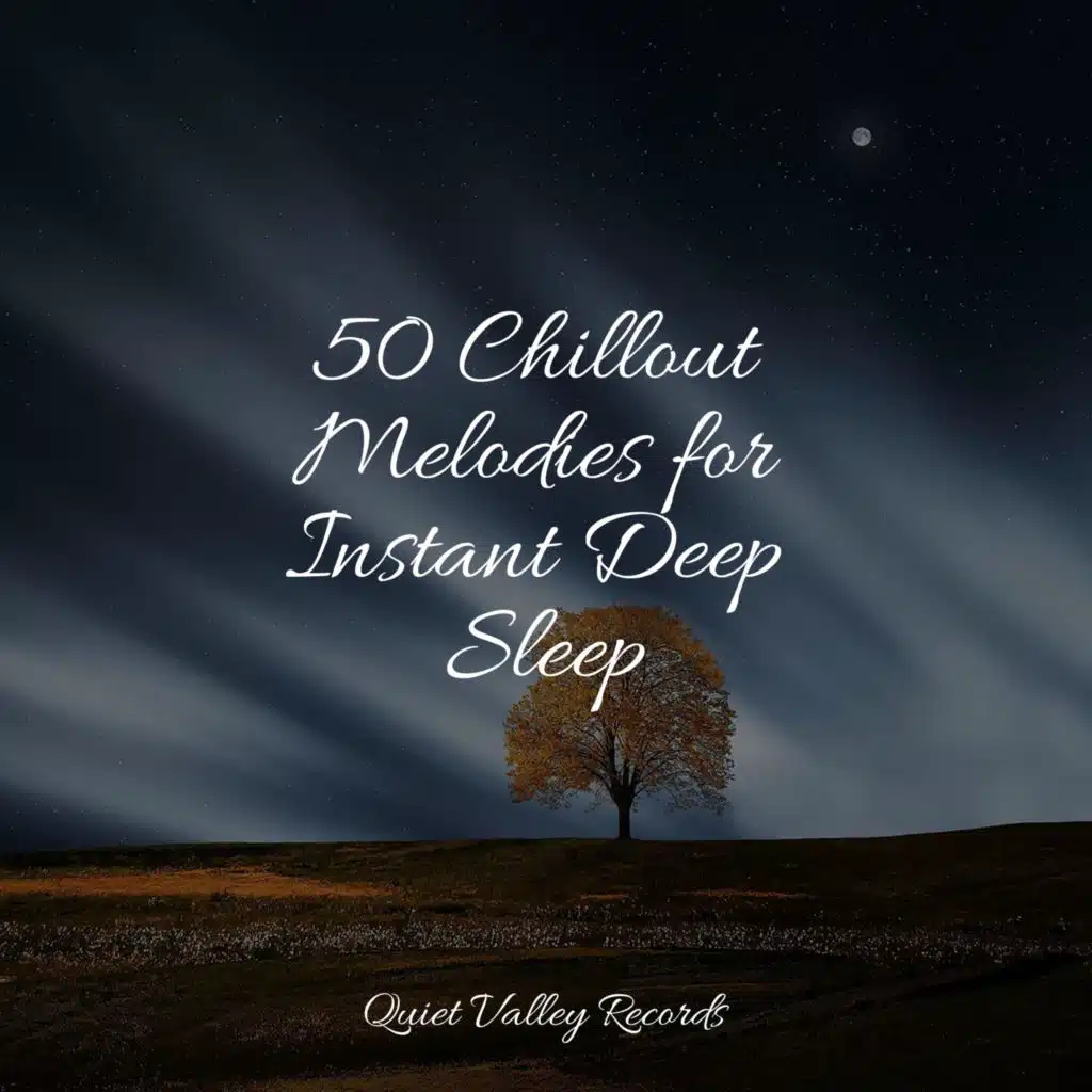 50 Chillout Melodies for Instant Deep Sleep