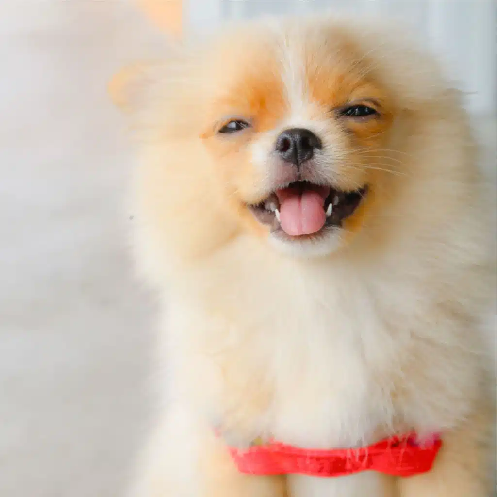 Relaxation Meditation