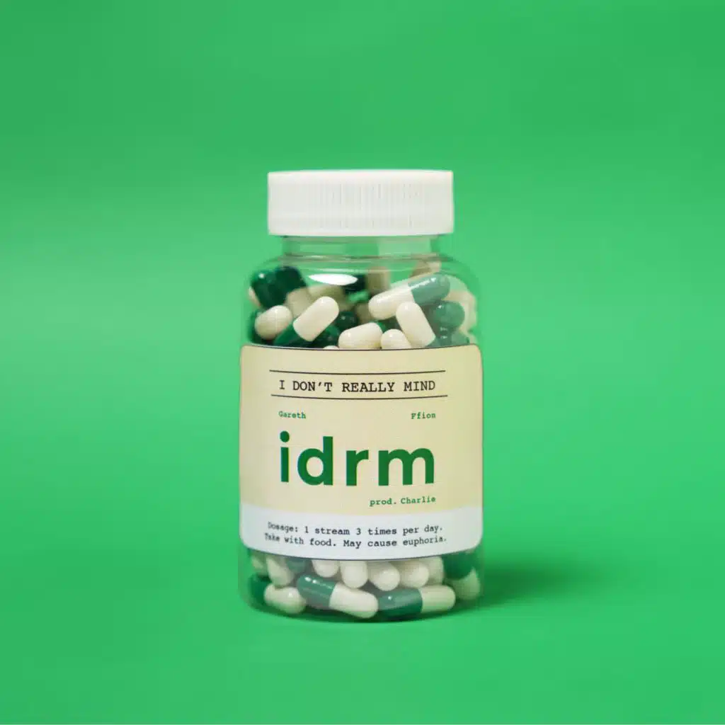 idrm (feat. ffion)
