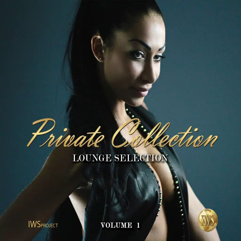 Private Collection, Vol. 1 (Lounge Selection)